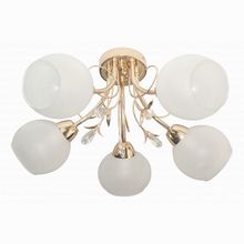 TopLight Gwen TL7460X-05FG