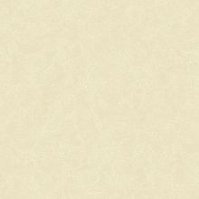 Erismann Violetta 3795 2 3795 2