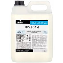 Pro-Brite Dry Foam 5 л