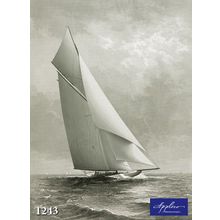 Фреска Applico 1243