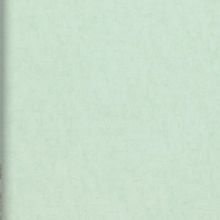 Обои виниловые BN International Van Gogh BN 17111