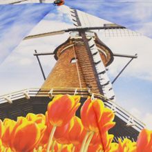 Ame Yoke Зонт женский Голландия