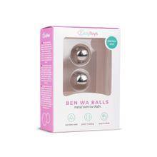 Easy toys Серебристые вагинальные шарики Ben Wa Balls (серебристый)