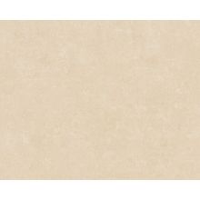 AS Creation History of Art 37656 5 37656 5