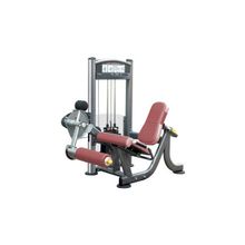 Разгибание ног 200ф Aerofit IT905H