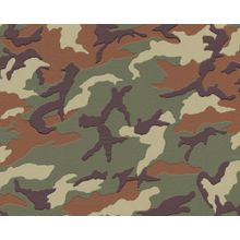 AS Creation Boys and Girls 6 369406 369406