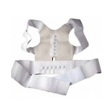 Bradex Кипарис магнитный (талия  81-117)