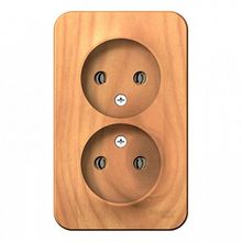 Розетка двухместная BLANCA, открытый монтаж, ясень |  код. BLNRA000205 |  Schneider Electric