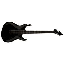 Washburn WM10