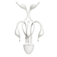 Бра Lightstar 751656 Cigno Collo