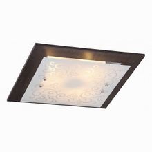 Freya Constanta FR4811-CL-03-BR