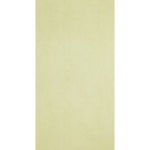 BN International Color Stories 218504 BN218504