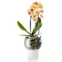 Eva Solo Горшок для орхидеи с функцией самополива d15 см белый арт. 568149