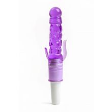 4sexdreaM Фиолетовый вибратор с дополнительными отростками - 21 см.