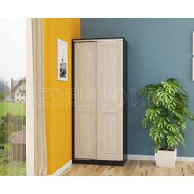 Спальня СИБИРЬ, шкаф-купе 2-х дверный 804