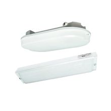 Светильник  ДПП01В