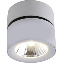 Divinare Спот Divinare Urchin 1295 03 PL-1 ID - 26222