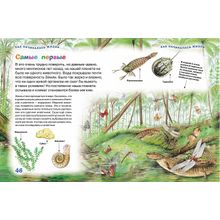 Росмэн для любознательных