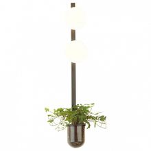 Odeon Light Бра Odeon Light Flower 4681 2WA ID - 392410