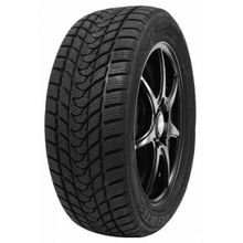 Автошина Delinte Winter WD1 245 45 R19 98S