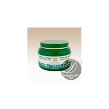 Health & Beauty Treatment Hair Mask Avocado Oil & Aloe Vera Оздоравливающая маска для волос с маслом авокадо и алоэ