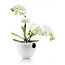 Eva Solo Горшок для орхидеи Orchid pot белый арт. 568240