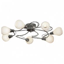 Lussole Потолочная люстра Lussole Abriola LSC-8303-07 ID - 392619