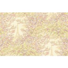 Milassa Trend 2005 trend2005