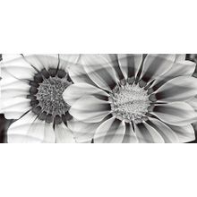 Декор Cersanit Wave Blackflowers WA2G443D 200х440