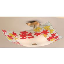 Светильник Потолочный Citilux CL937308