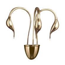 Бра Lightstar 751632 Cigno Collo