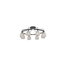 Светильники NLIGHT:Новые поступления:Светильник потолочный NLIGHT 412-08-63CDW chrome + dark wengue