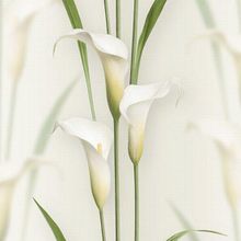 Обои Andrea Rossi 54139-1 Gorgona