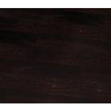 Сосна Уральская