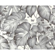 AS Creation Livingwalls Colibri 366252 366252
