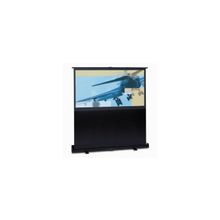 Портативный экран Projecta LiteScreen 98x128см Datalux F