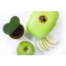 Monbento Gram киви