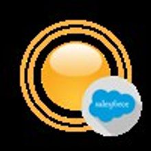 DevArt DevArt dotConnect for Salesforce - Professional site license