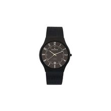 Мужские часы Skagen 233XLTMB