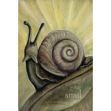 Карты Таро: "Liminal Spirits Oracle" (LW055)