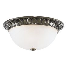 Потолочный светильник Arte Lamp A7838PL-2AB PORCH