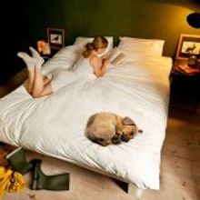 Постельное белье из сатина Собачка -фото Евро Макси NEWTONE 46147