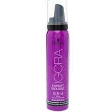 Igora Expert Mousse тонирующий 9,5-4 100 мл