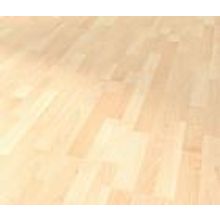 Канадский горный клен