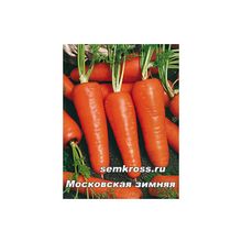 Морковь Московская Зимняя