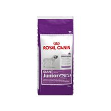 Royal Canin Giant Junior Active(Роял Канин Джайнт Юниор Актив) сухой корм для щенков 15 кг