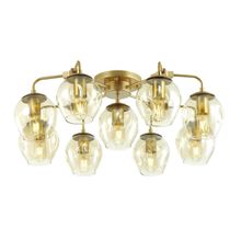 Odeon Light Потолочная люстра Odeon Light Kuva 4660 9 ID - 77427