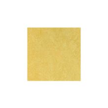  Pineapple арт.763877