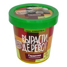 Набор для выращивания ВЫРАСТИ ДЕРЕВО! Гардения