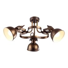 Спот Arte Lamp A5216PL-3BR MARTIN